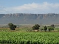 Franschhoek