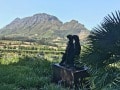 Franschhoek