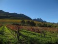 lourensford-autumn