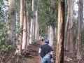 stellenbosch-mountain
