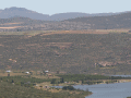 Lebanon-Citrus-2