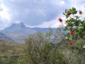 20141028_083954