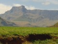 20141029_083633