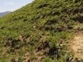 20141030_103505