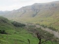 IMG_1388