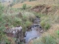 IMG_1799