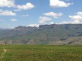 IMG_3764