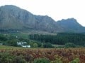 Winelands walking
