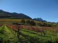 lourensford-autumn