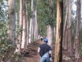 stellenbosch-mountain