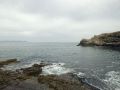 hermanus-rocky-coast