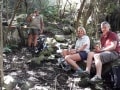 Hermanus Walk