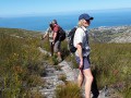 Hermanus Walk