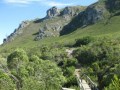 Cycling trail wooden bridge,Fernkloof Nature Reserve, Hermanus Walk