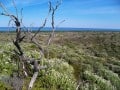 Goukamma-Nature-Reserve