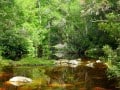 Knysna-Elephant-trail-3