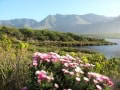 Kleinmond, Palmiet river west