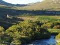 Kogelberg nature reserve river walk