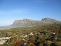 Berg fynbos