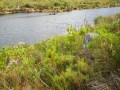 IMG_0387.v01