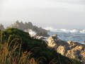 IMG_7638 (640x480)
