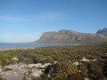 IMG_7658 (640x480)