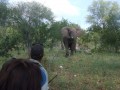 Kruger Wilderness trails 124