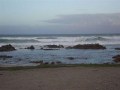 DSCF6399
