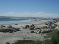 Paternoster beach,West Coast Walk