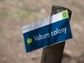 vulture experience