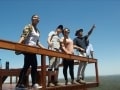 vulture experience