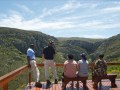 vulture experience