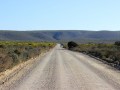 nature drive