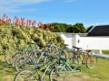 Whale Coast Cycling-De Hoop