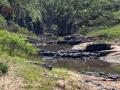 Wild Coast Walk-March 2020