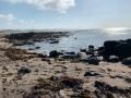 Wild Coast Walk-March 2020