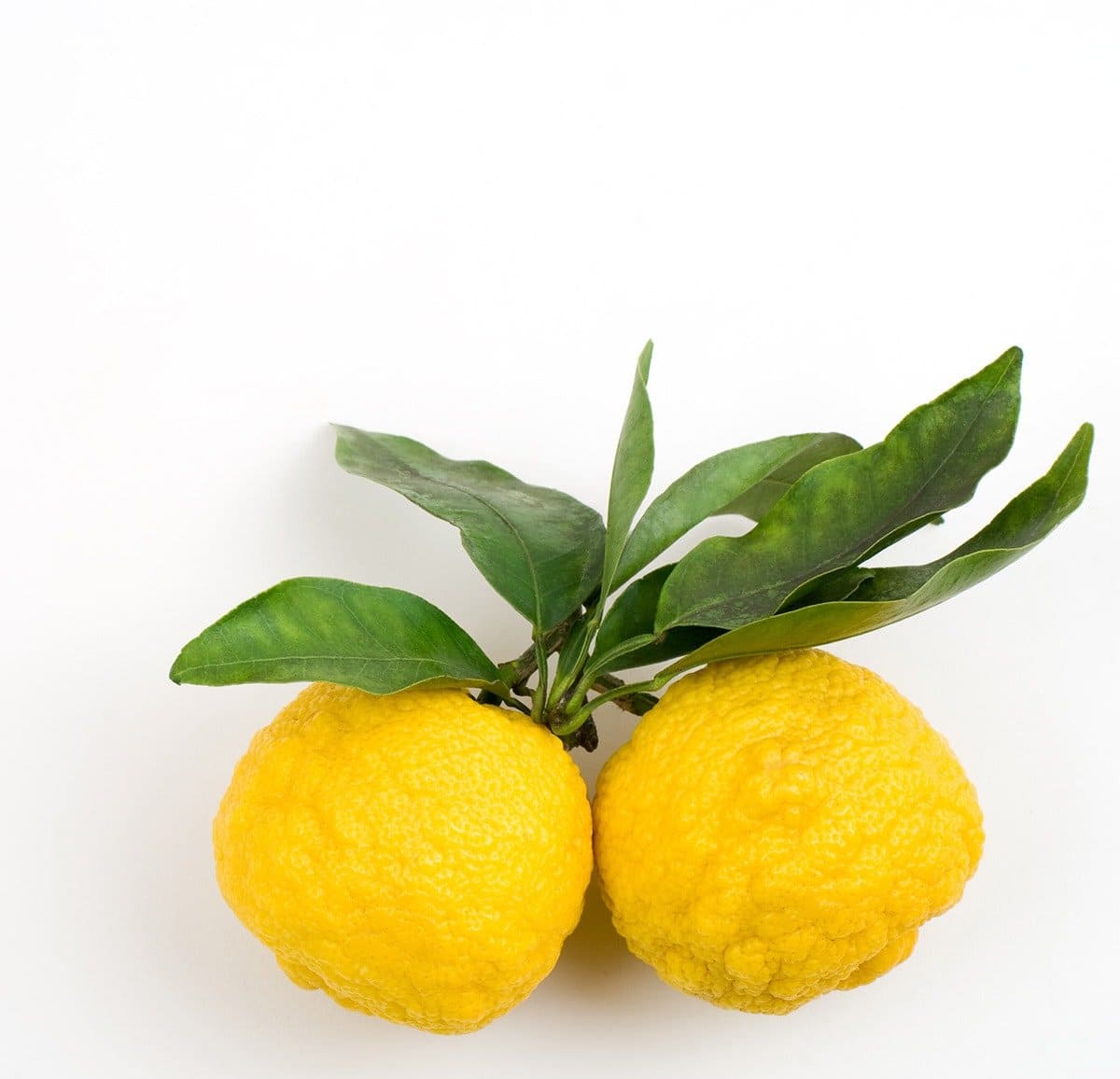 yuzu oranges on white backgrournd