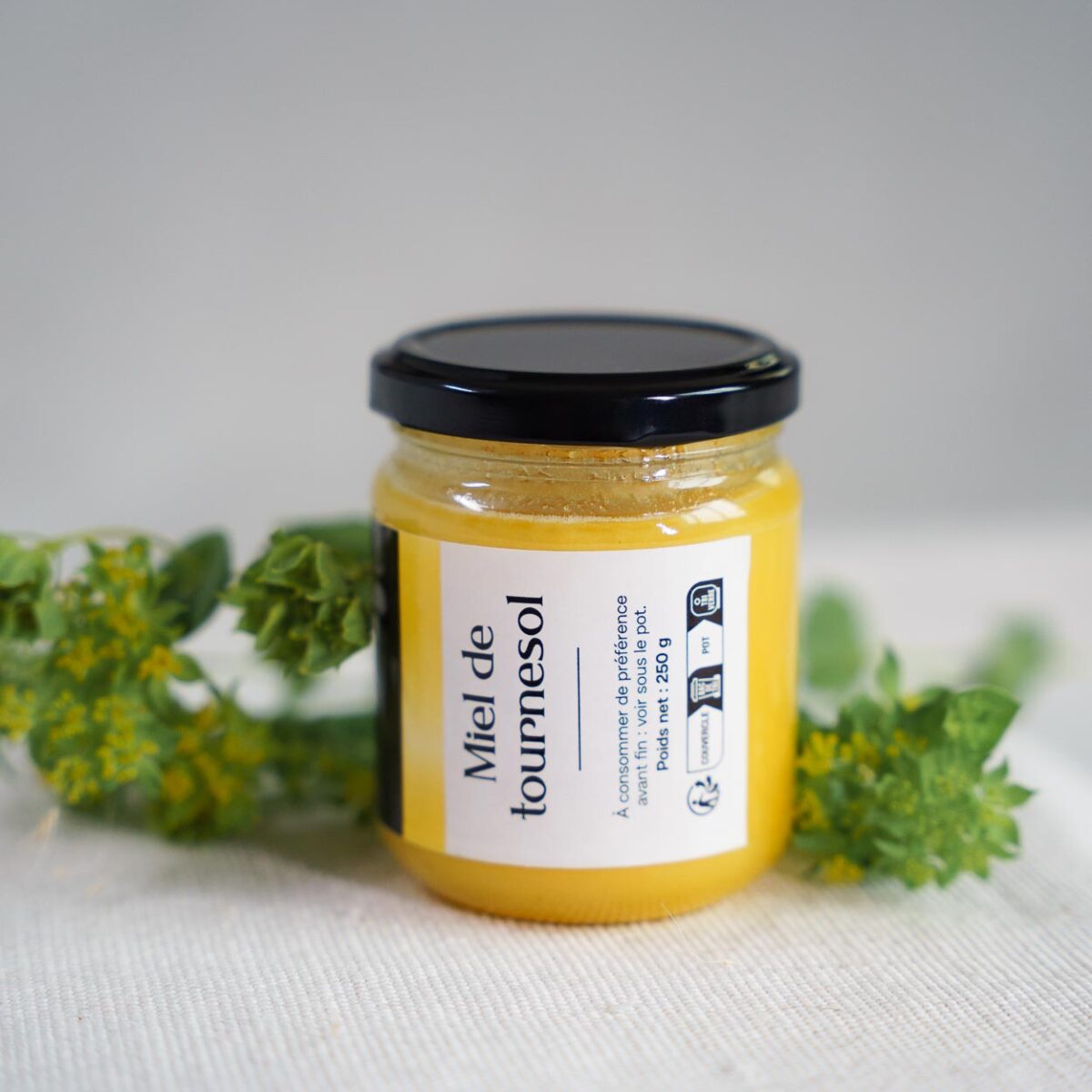 Miel de Tournesol
