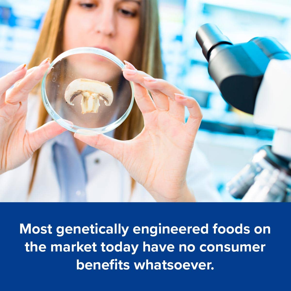 Most genetically engineered foods on the market today have no consumer benefits whatsoever.