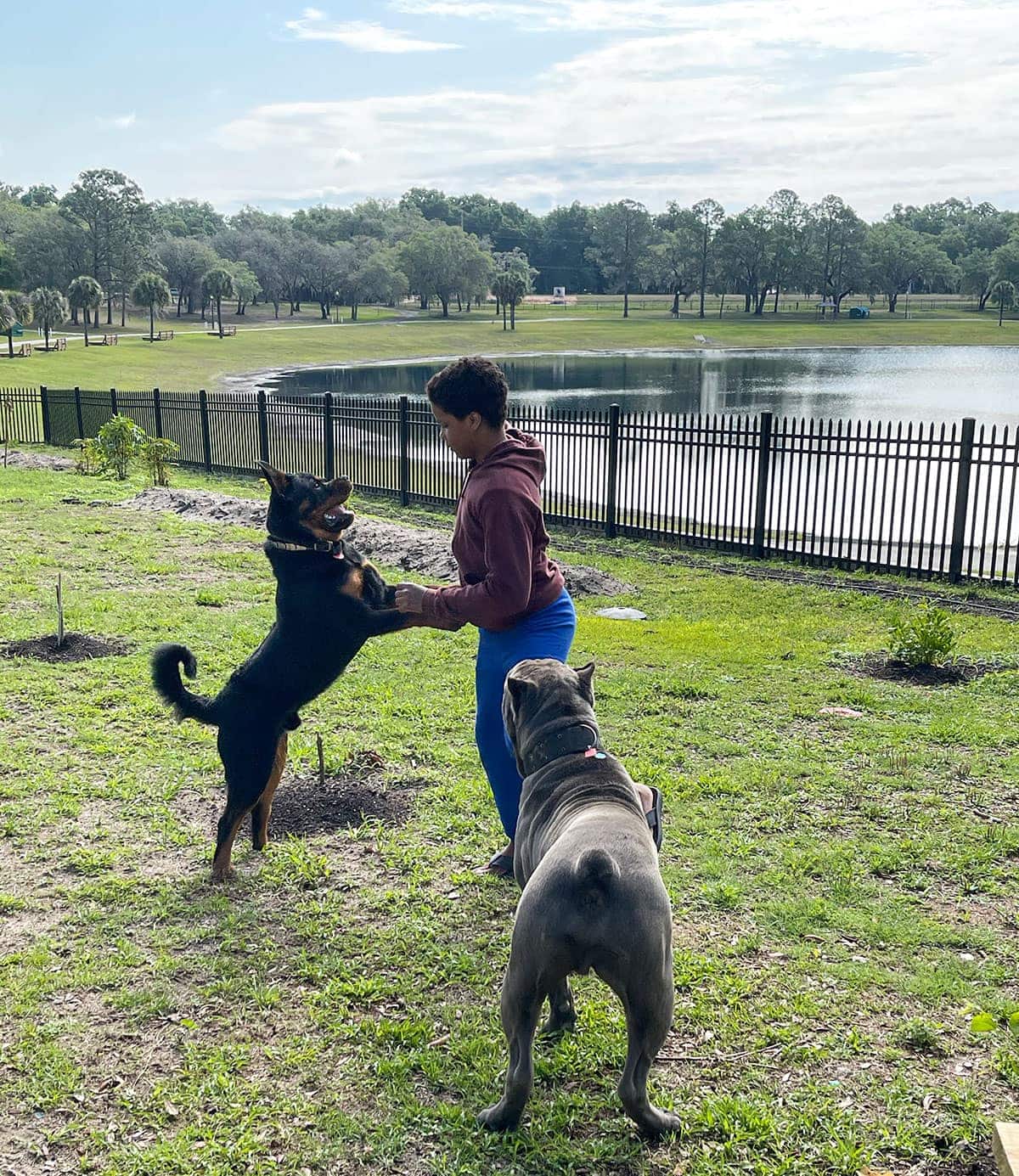 Daevyd playing with Zweig