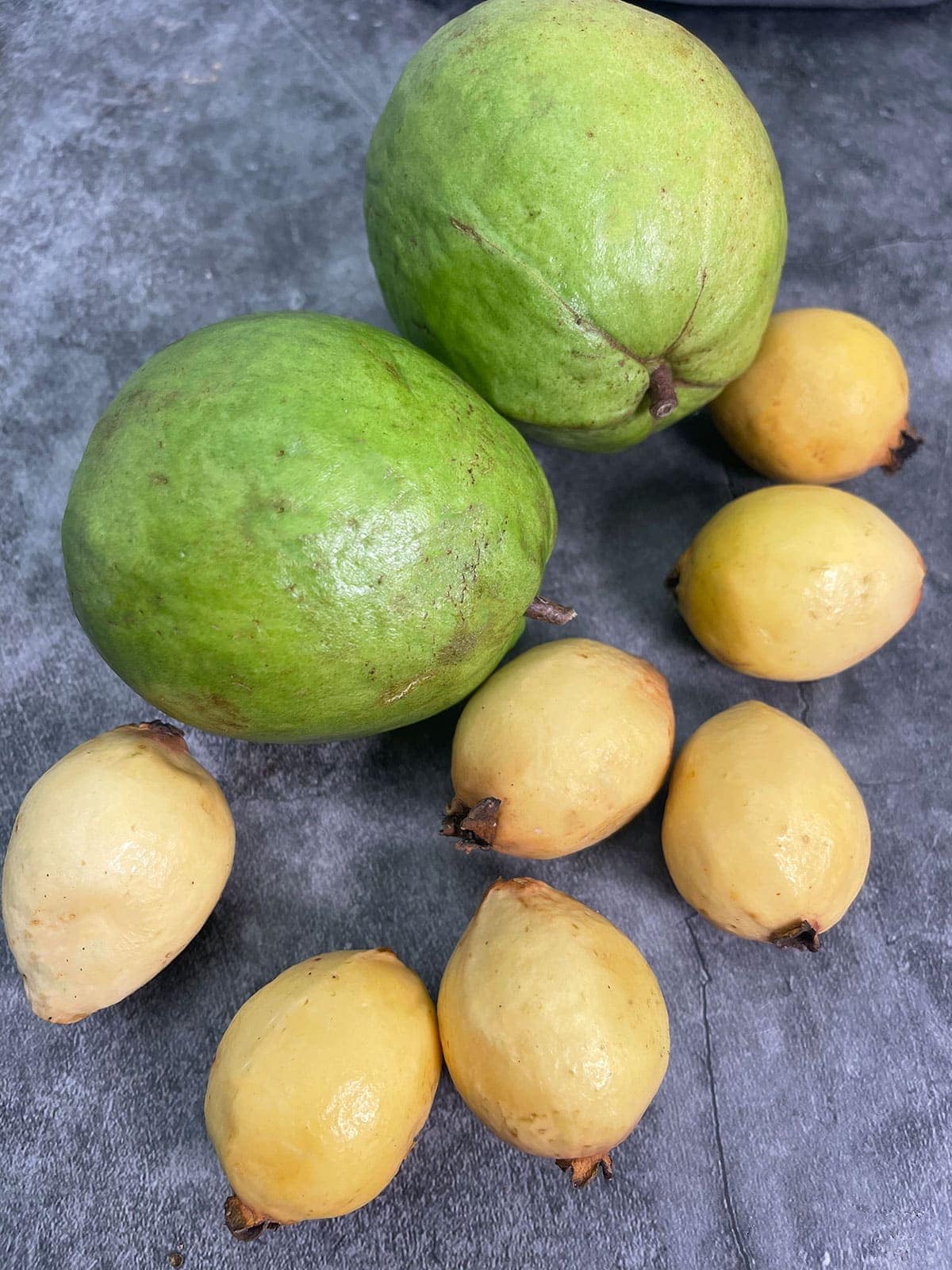 yellow guavas and white guavas on grey background