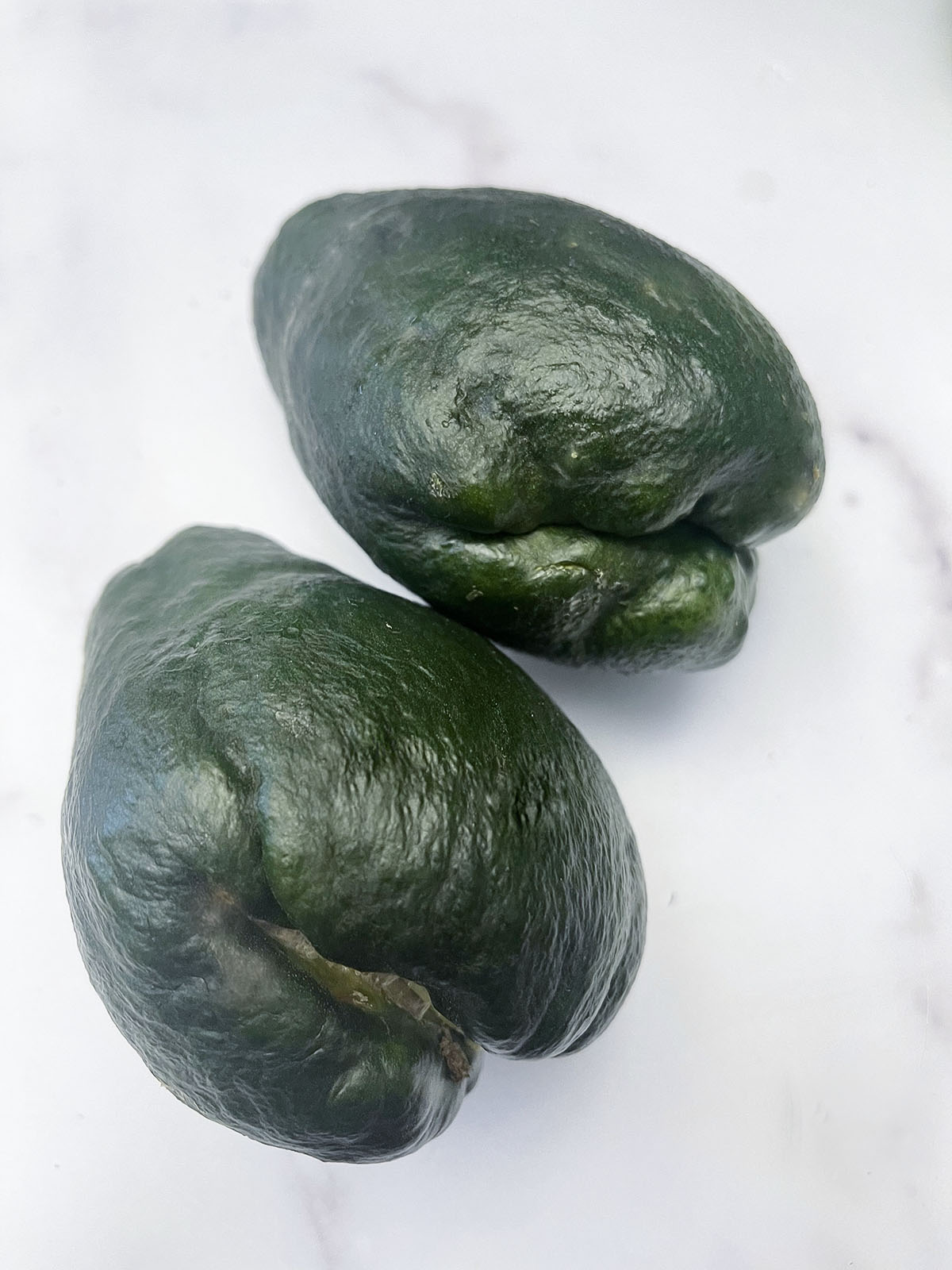 Black chayote on a white background