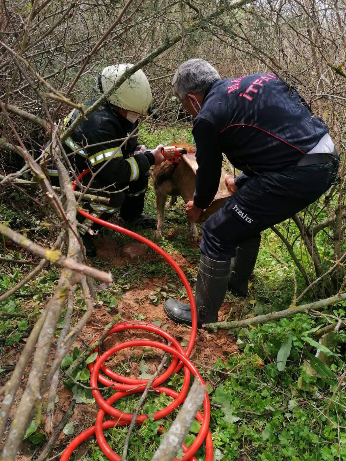 Başına teneke sıkışan köpeği itfaiye kurtardı