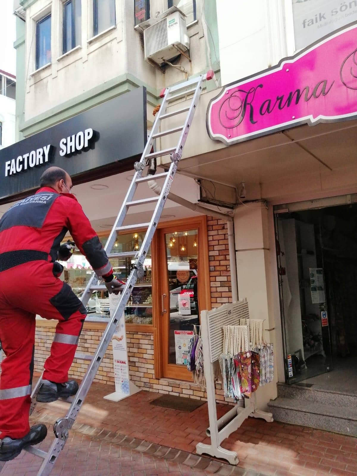 Tavan arasında mahsur kalan yavru kediyi itfaiye kurtardı