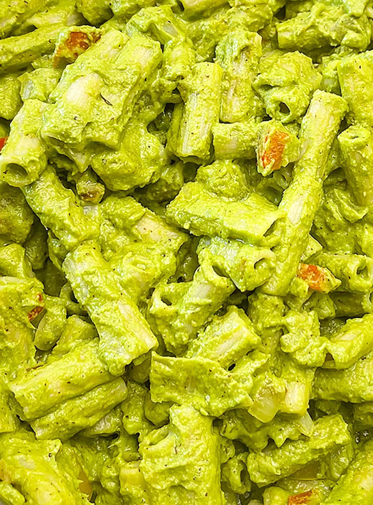 close up penne pasta