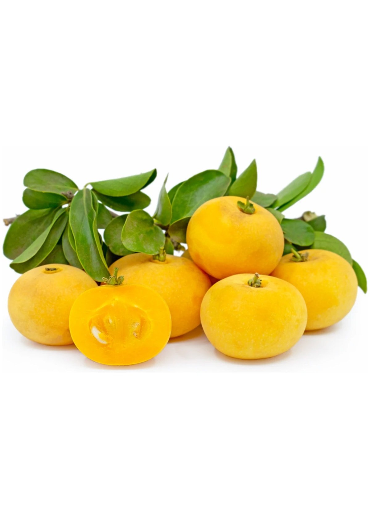 kei apple fruit on white background