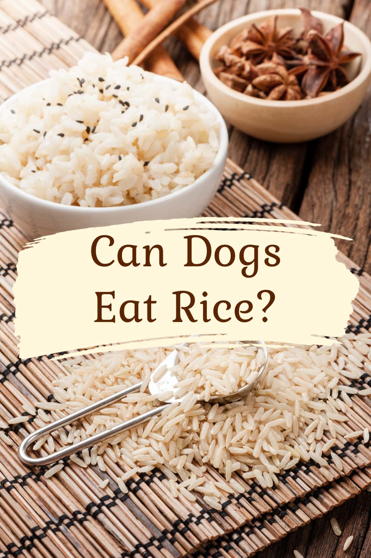do dogs digest rice