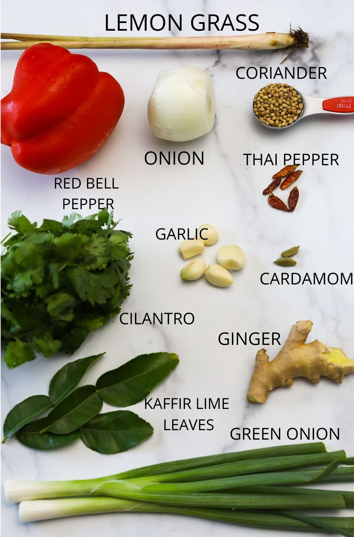 Vegan thai curry paste