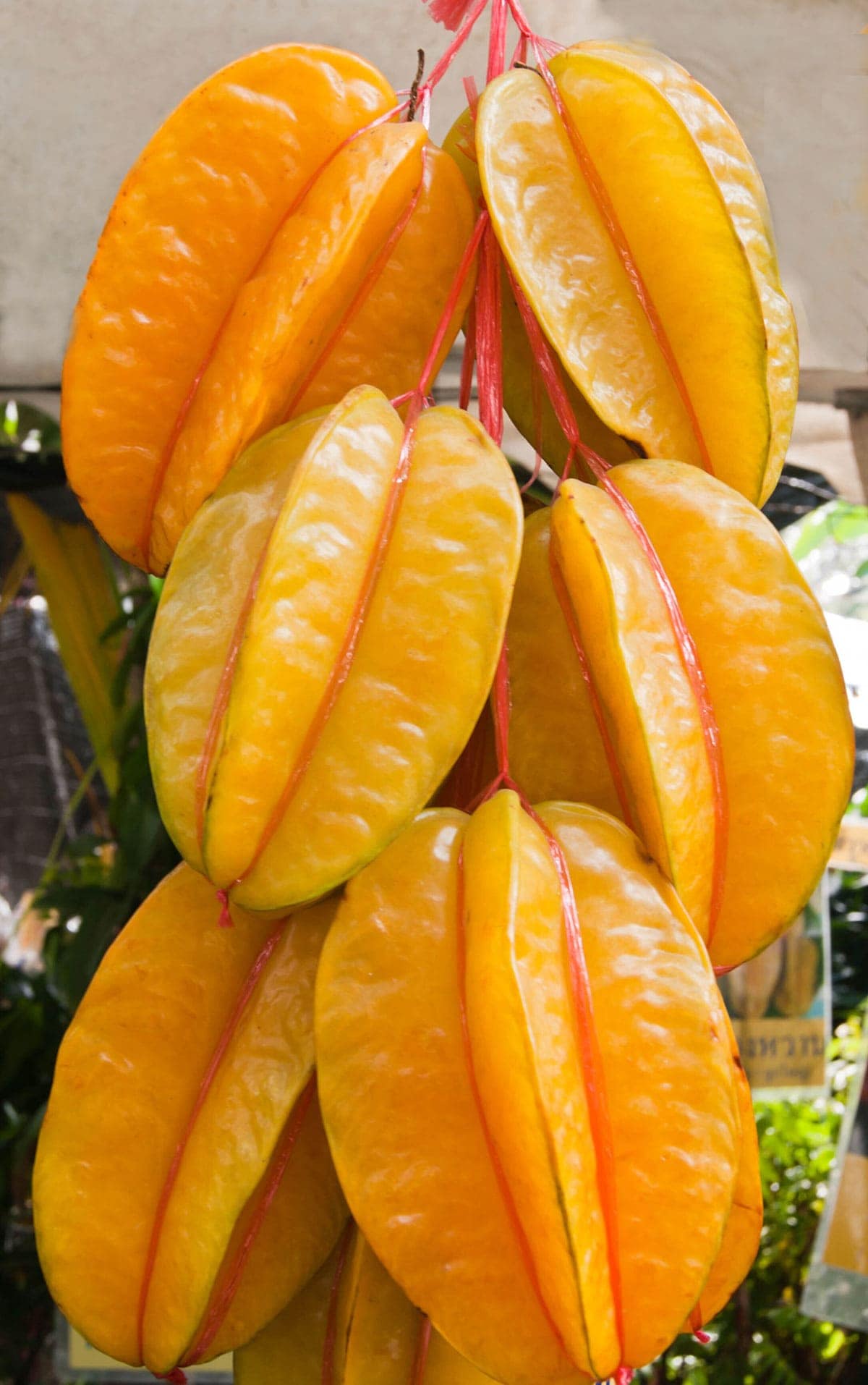 Star Fruit Healthier Steps telegraph