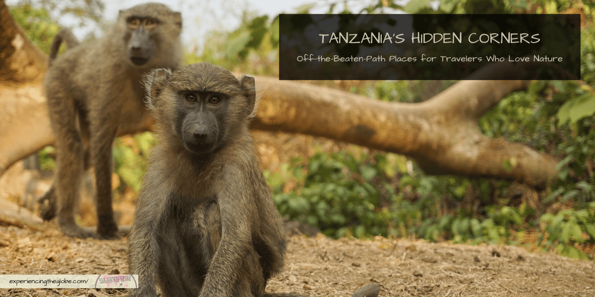 Looking to explore Tanzania off the beaten path? This guide takes you to its hidden corners –from misty mountains and remote lakes to ancient cultures and island wildlife. A slow-travel journey into wild landscapes, village life, and places most travelers never see (or have even heard of)